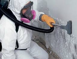 Best Environmental Consulting for Mold Prevention in USA